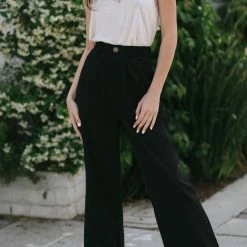 Aaron & Amber Agnes Pleated Wide Pants Work Essentials