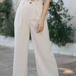 Aaron & Amber Agnes Pleated Wide Pants Work Essentials