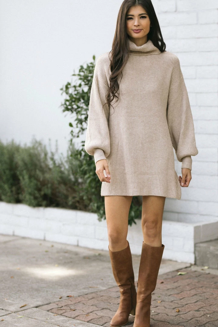 She + Sky Fleur Turtleneck Mini Dress