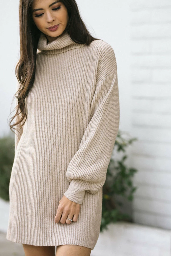 She + Sky Fleur Turtleneck Mini Dress