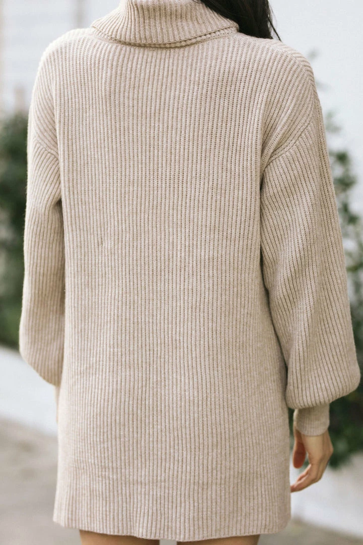 She + Sky Fleur Turtleneck Mini Dress