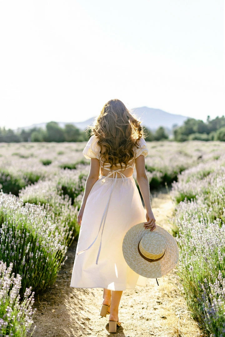 Fore Collection Colbie Poplin Midi Dress Clothing