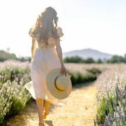 Fore Collection Colbie Poplin Midi Dress Clothing