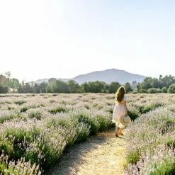 Fore Collection Colbie Poplin Midi Dress Clothing