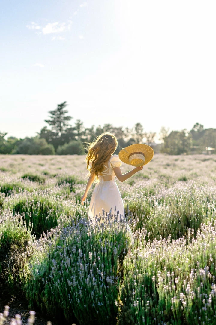 Fore Collection Colbie Poplin Midi Dress Clothing