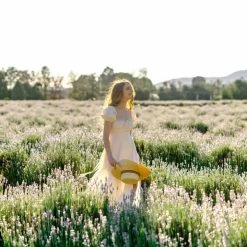 Fore Collection Colbie Poplin Midi Dress Clothing