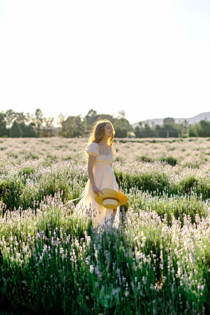 Fore Collection Colbie Poplin Midi Dress Clothing