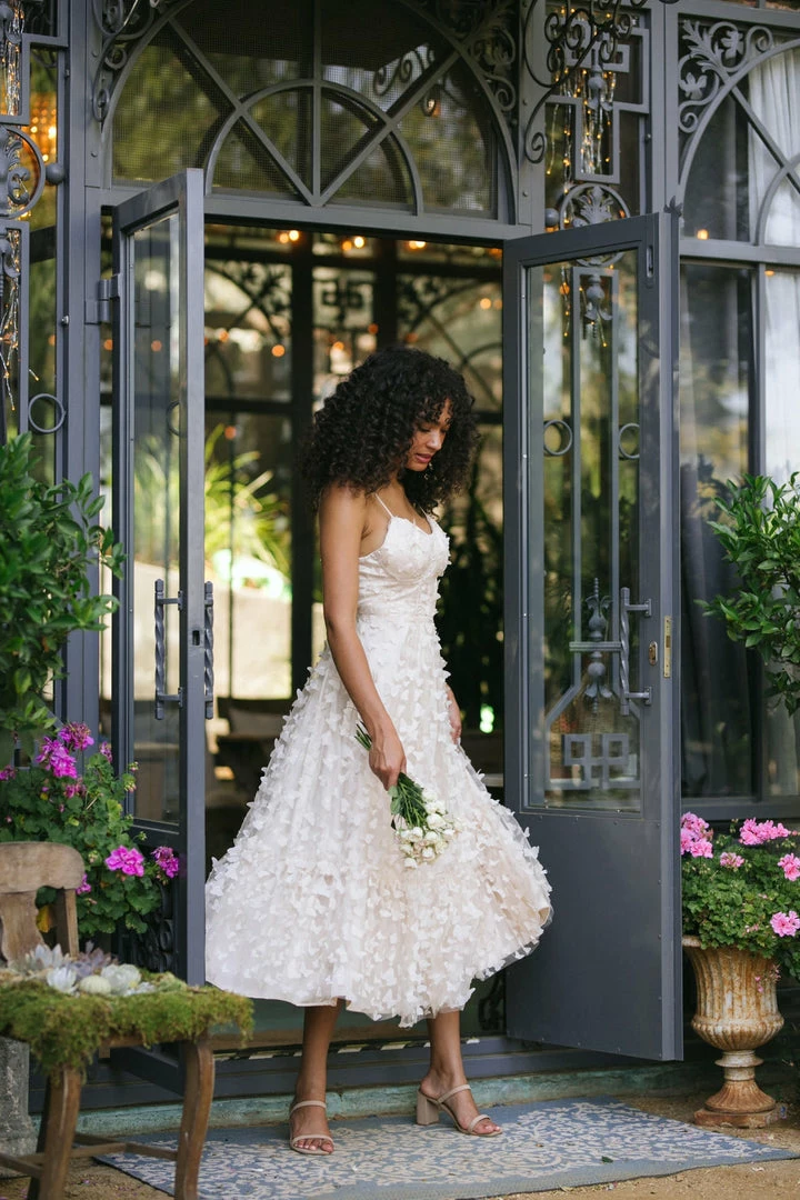 Mable Clothing Dana Butterfly Mesh Dress