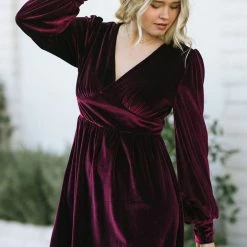 She + Sky Mira Velvet Mini Dress Clothing