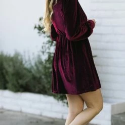 She + Sky Mira Velvet Mini Dress Clothing