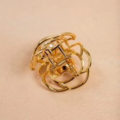 ANA Accessories Jolie Rose Claw Clip