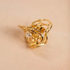 ANA Accessories Jolie Rose Claw Clip